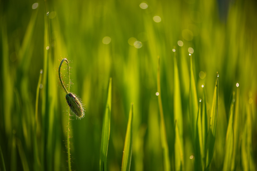 Platz 12 Roland Menigat